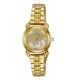 TITAN Champagne Dial Golden Stainless Steel Strap Watch NP 2534YM01 TL799