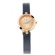 TITAN Rose Gold Dial Leather Strap Watch 2598WL01 TL488